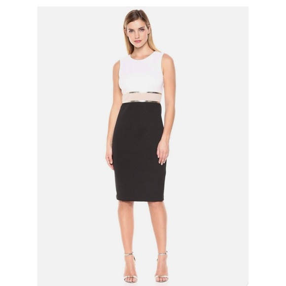 Frank Lyman Dresses & Skirts - Frank Lyman Sheath Dress 12 Black White Excellent Metallic Colorblock Cocktail